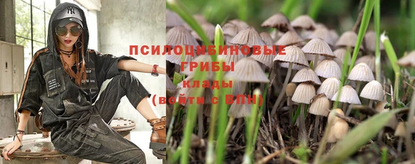 дмт Волоколамск